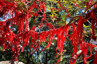 《守望先锋2》开发者访谈 梦幻联动《街霸6》始末